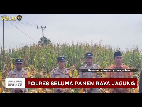 PRESISI UPDATE : POLRES SELUMA PANEN RAYA JAGUNG DUKUNG KETAHANAN PANGAN 02/03/2025 (19.30)