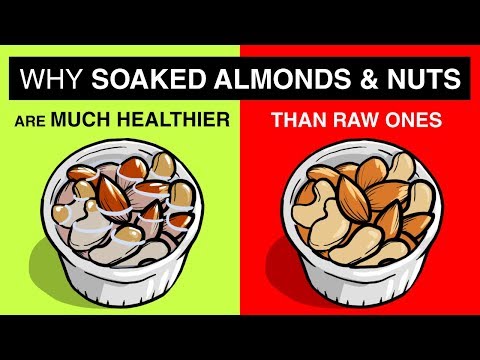 download lagu mp3 mp4 Sprouted Almonds Bulk, download lagu Sprouted Almonds Bulk gratis, unduh video klip Sprouted Almonds Bulk