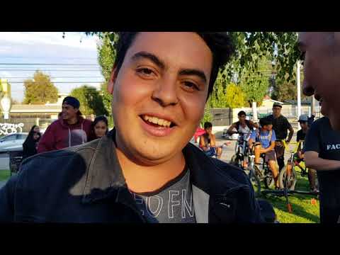 BIG MAC/PC VS DIEGUIIN/BOSIK ( FREE DE PERROS 2VS2) OCTAVOS