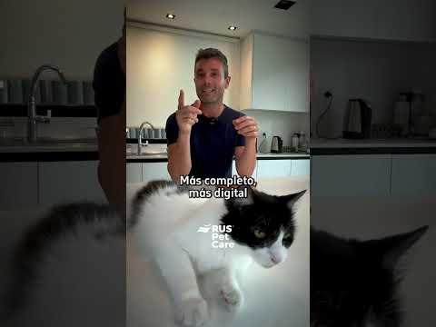Video Producto