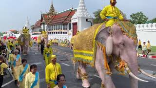 ขบวนช้างเทิดพระเกียรติรัชกาลที่ 10 บรมราชาภิเษก2562