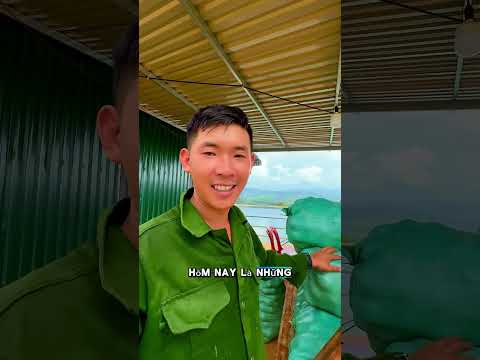 Quy trình ươm giống chanh leo