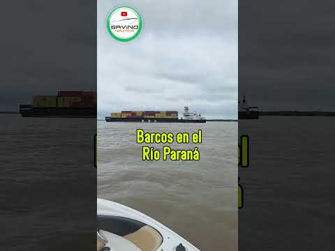 Barcos que vemos en el Río Paraná de las Palmas