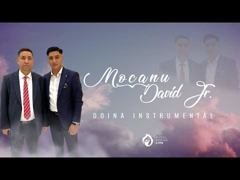 MOCANU & DAVID JR - DOINA INSTRUMENTAL ( AUDIO OFFICIAL 2022 )