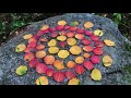 Wie ich mit der Natur verbinde | Land Art | Herbst in Norwegen