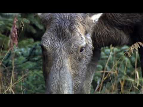 Unit 1 - Unlock 2 Listening, Speaking and Critical Thinking [1st Edition]