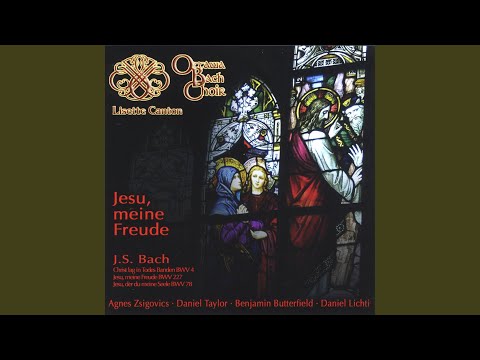 Christ lag in Todes Banden, BWV 4: 5. Versus IV: Es war ein