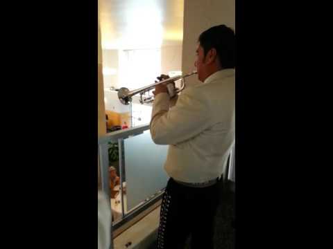 Promotional video thumbnail 38 for Mariachi Nuevo Mexico