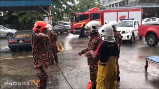Buaya sesat di tempat meletak kereta di-Limbang