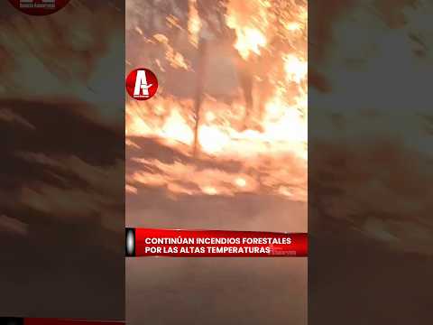 Siguen los incendios forestales por las altas temperaturas, esta vez en Coyaima, Tolima.