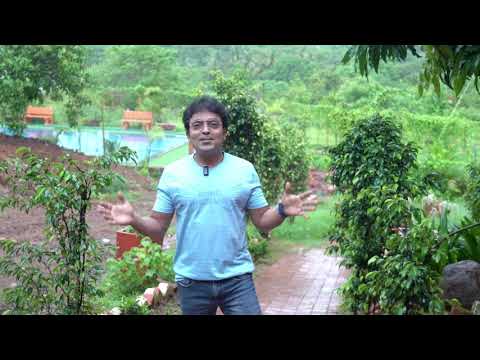 🌿 Spring Nature Stay – Where Peace Meets the Coast!