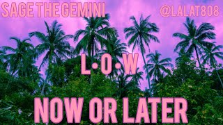 NOW OR LATER - Sage the Gemini // Low