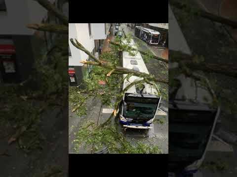 Tornado in Paderborn/Lippstadt