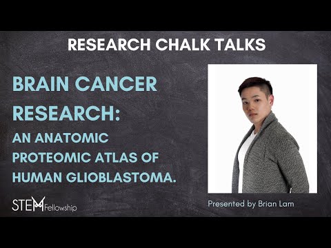 Brain Cancer Research on Glioblastoma // Research Chalk Talk Series
