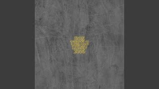 Cover art for Box Turtle, Magnificent Isn't She