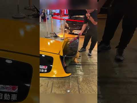 😱 La Voiture la Plus Plate du Monde !#shorts #shortvideo #trending #shorts