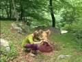 Jack Rabbit Song From Music Of The Mountains DVD