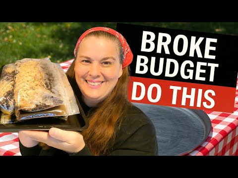 LOW-INCOME  BATCH COOKING FEED YOUR FAMILY ON LESS!