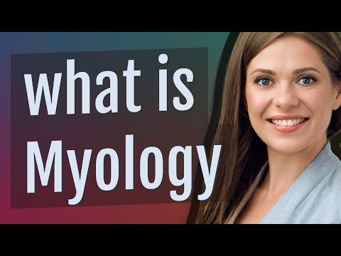 Myology | meaning of Myology