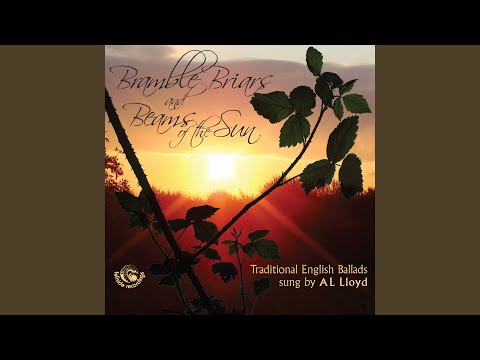 The Outlandish Knight