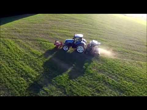 Direktsaat Migamo in Wyssachen