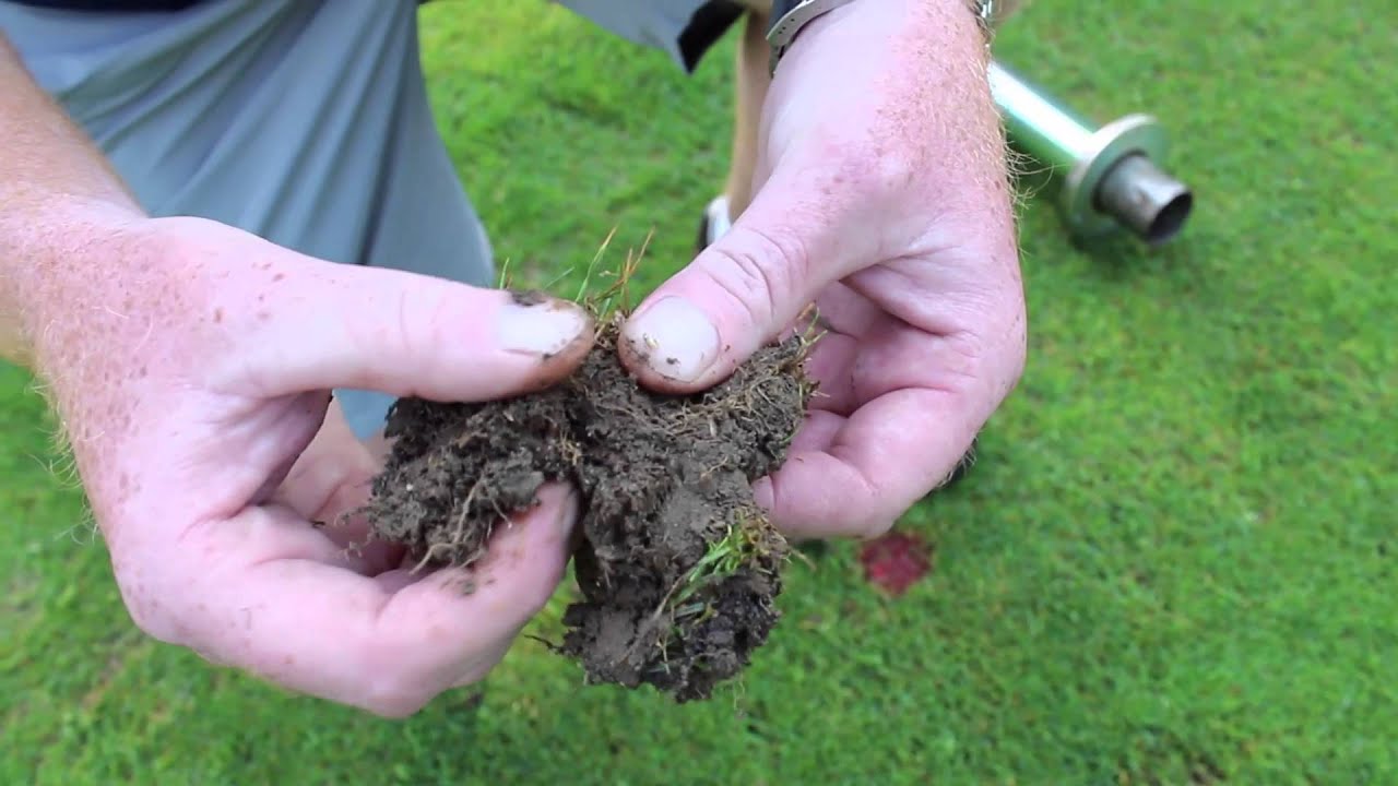 Larvae: Detect and Monitor with Soil Core Sampling