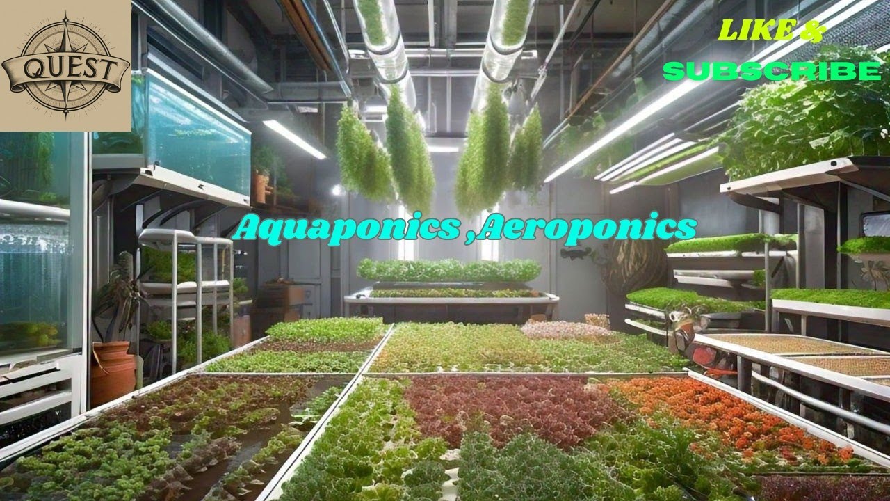 Aquaponics #Aeroponics for #Sustainable #Food #Production