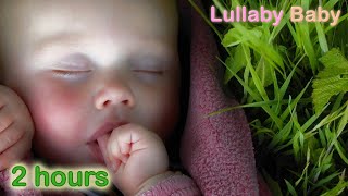 🌟 2 HOURS 🌟 Relaxing CELTIC MUSIC Instrumental ♫ 🍀 🌟 NO REPEAT 🌟 Beautiful Celtic Music Mix 🍀