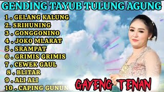 Download lagu GENDING JAWA TERLARIS TAYUB TULUNG AGUNG GAYENG BANGET COCOK KANGGE KONCO MAKARYO #gendingjawa  mp3