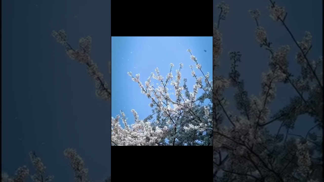 月が綺麗ねと言われたい！という曲です#オリジナル曲 #vocaloid