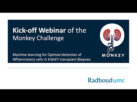 MONKEY Challenge Webinar