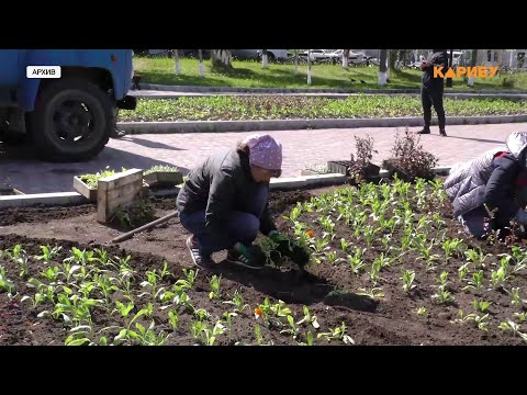 Озеленение, ремонт контейнерных площадок и замена мусорных баков: итоги года в цифрах