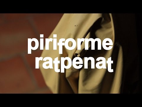 Piriforme - Ratpenat | STOMOXINE rec.