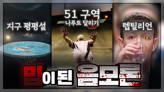 밈으로 쓰이는 음모론 : 이걸 진짜 믿는다고? 그럼 놀려야징ㅋㅋㅋㅋㅋㅋ