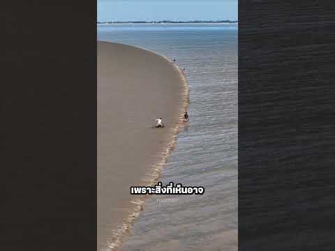 คุณเห็นคลื่นเล็กๆหรือชายหาด!? 🌊