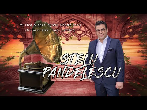 Stelu Pandelescu - Cel mai frumos Colaj de muzica Lautareasca si Petrecere