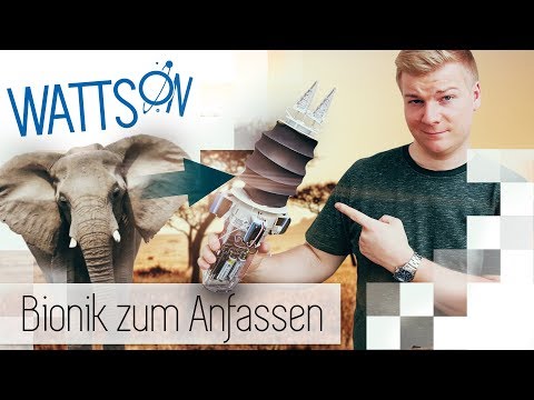 Bionik: Wie uns die Natur zu technischen Lösungen inspiriert | Watts On