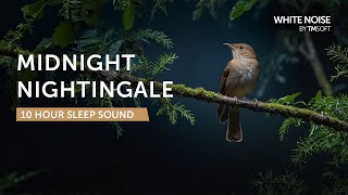 Midnight Nightingale - 10 Hours Sleep Sound - Black Screen