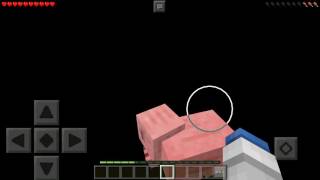 1日マインクラフトpart 5  なんで世界は黒いのか？