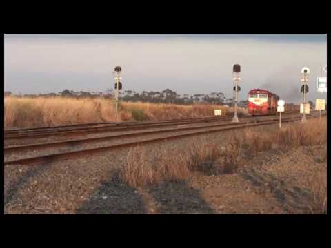 El zorro grain train at Gheringhap loop and then heading to Melbourne