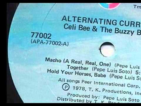 Together - CELI BEE & THE BUZZY BUNCH