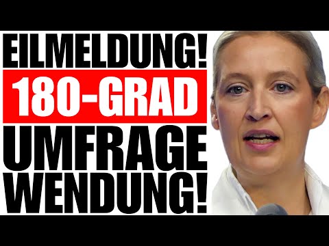 Huge AfD break-in?