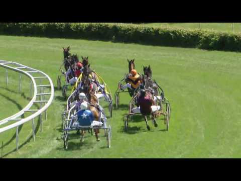 Dielsdorf/18.06.2017/Preis der Gammacatering AG