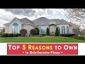 TOP 5 Reasons to Own in Bristlecone Pines