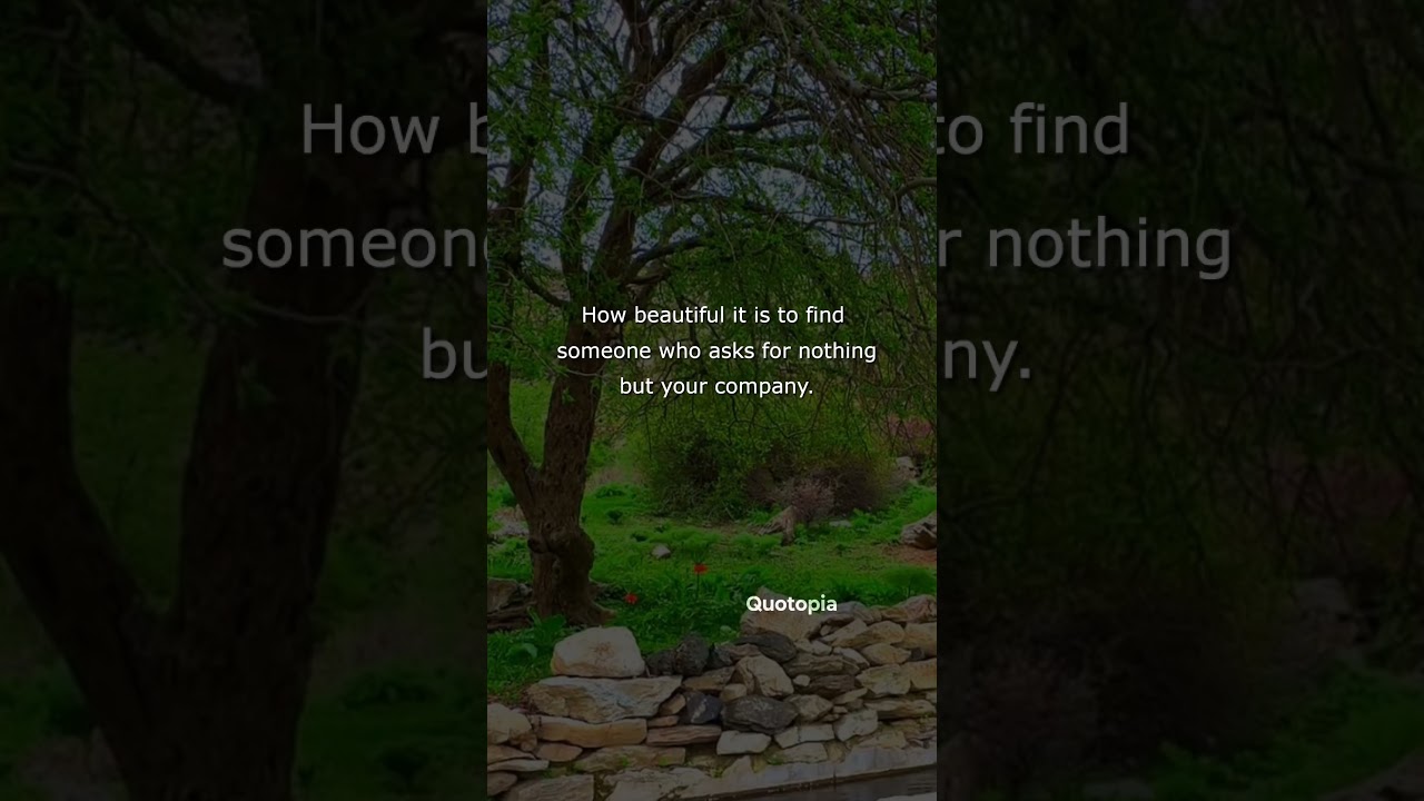 How beautiful it is to find someone who asks for nothing but your company✨🤍#PureLove #TrueConnection