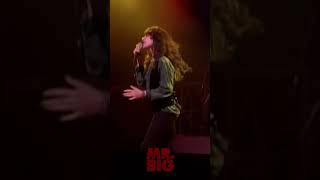 Download lagu Mr. Big - Daddy, Brother, Lover, Little Boy mp3 Download lagu Mr. Big - Daddy, Brother, Lover, Little Boy mp3