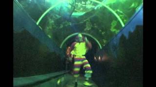 Rectal Smegma's Bobo The Clown (offical video)