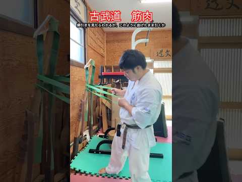 【武道・武術】古武道における筋肉の使い方とは！？あらゆる動作に活かせる考え方を解説！！　#aikido ＃karate #martial #武道 #空手＃合気道＃筋トレ#selfdefens