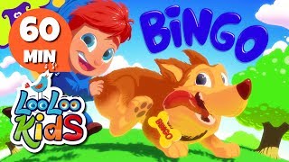 Bingo - Fun Songs for Children | LooLoo Kids