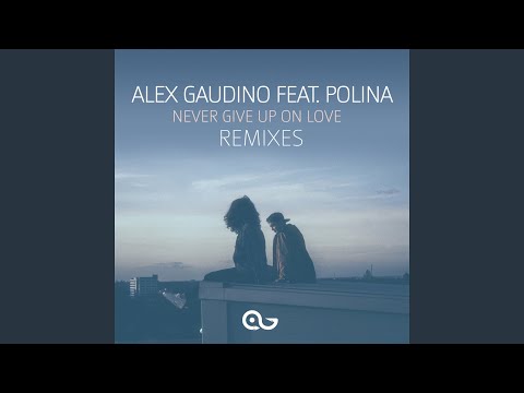 Never Give Up on Love (feat. Polina) (Hiisak Remix)